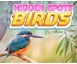 Hidden Spots - Birds